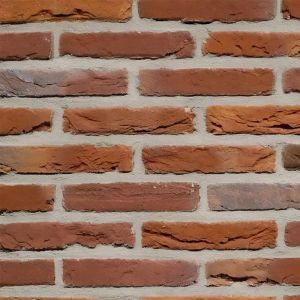 Eurosteen Cranenweijer Handvorm Waalformaat (4078)