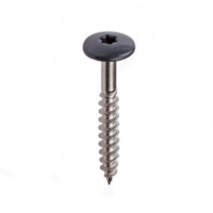Fisinox Kleurkopschroef 4,8x38 Antraciet (RAL 7016) - Doos à 100 stuks 