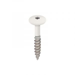 Keralit Torx Schroef T20 32 mm Wit - Doos à 100 stuks (bestelnr. 2890)