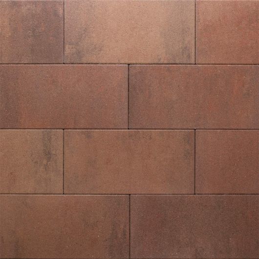 Eliton Supreme Linea XXS 30x60x4 cm