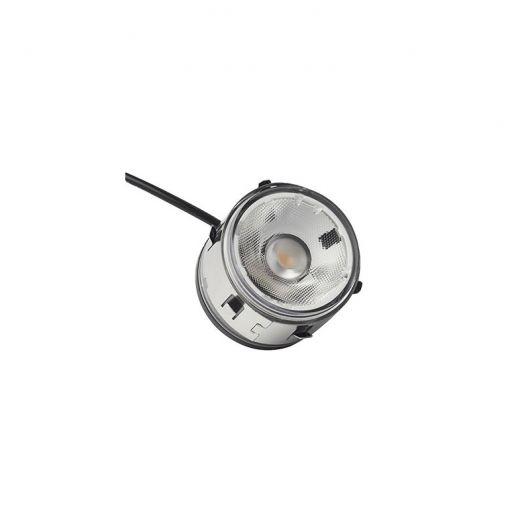 In-Lite Big Flux